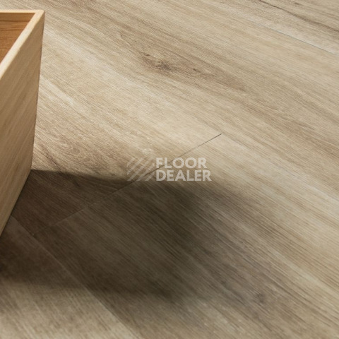IVC Ultimo (DryBack) IVC Ultimo 24219Q фото 10 | FLOORDEALER